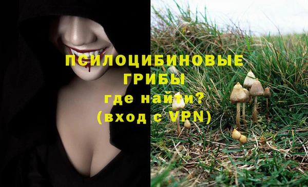 альфа пвп Кукмор